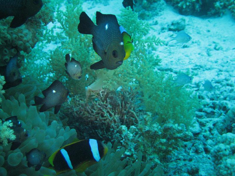 2009-12-02 14-30-04S.JPG